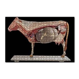 Cakapuzzle İneğin İç Organlarının Görseli 120 Parça Ahşap Puzzle
