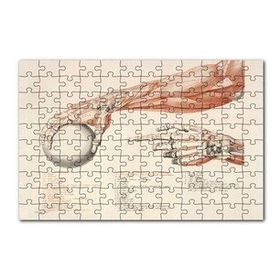 Cakapuzzle İnsan Anatomisi El Kol Görseli 120 Parça Ahşap Puzzle