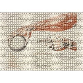 Cakapuzzle İnsan Anatomisi El Kol Görseli 120 Parça Ahşap Puzzle