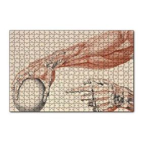 Cakapuzzle İnsan Anatomisi El Ve Kol Bilye Görseli 120 Parça Ahşap Puzzle