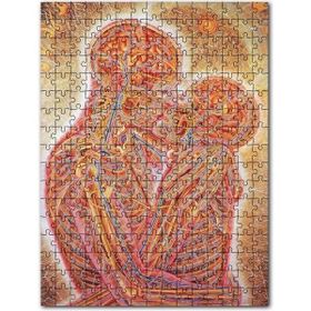 Cakapuzzle Insan Anatomisi Öpüşen Çift Sanat Görseli Mdf 255 Parça Puzzle
