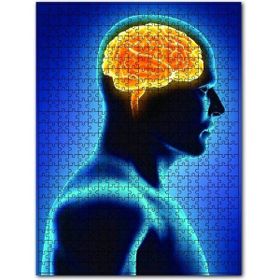 Cakapuzzle İnsan İç Organik Beyin 1000 Parça Puzzle