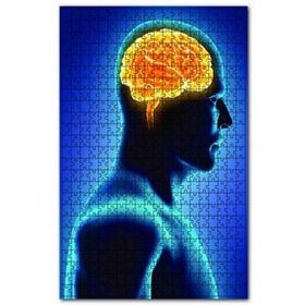 Cakapuzzle İnsan İç Organik Beyin 120 Parça Puzzle
