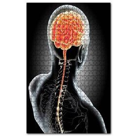 Cakapuzzle İnsan İç Organik Beyin Arka Tarafdan 120 Parça Puzzle
