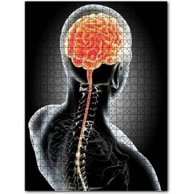Cakapuzzle İnsan İç Organik Beyin Arka Tarafdan Ahşap 500 Parça Puzzle