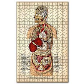 Cakapuzzle İnsan Vücudu Haritası Eski 120 Parça Ahşap Puzzle