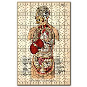 Cakapuzzle İnsan Vücudu Haritası Eski Ahşap 500 Parça Puzzle