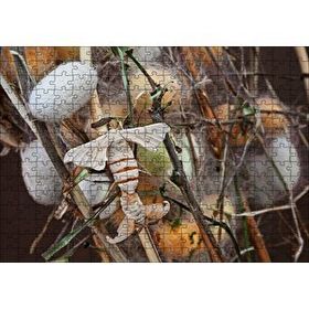 Cakapuzzle İpek Böceği Ve Kozası Görseli 120 Parça Ahşap Puzzle