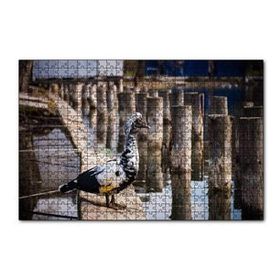 Cakapuzzle İskele Direkleri Arasındaki Kuş 120 Parça Ahşap Puzzle
