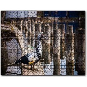 Cakapuzzle Iskele Direkleri Arasındaki Kuş 255 Parça Yapboz Mdf Puzzle