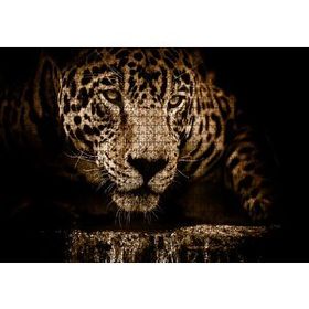 Cakapuzzle Jaguar Pusuda Yakın Plan Mdf 1000 Parça Puzzle