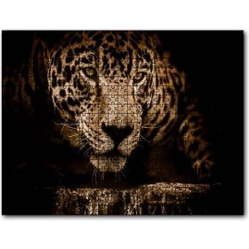 Cakapuzzle Jaguar Pusuda Yakın Plan Mdf 120 Parça Puzzle