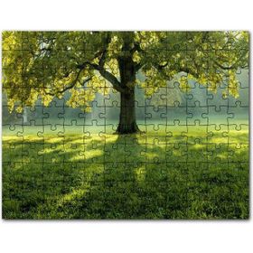 Cakapuzzle Joan Arc Taç Giyme Töreni Tablosu Mdf 255 Parça Puzzle