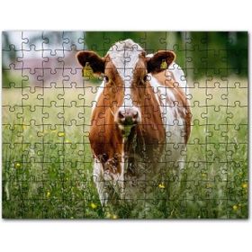 Cakapuzzle Jüpiter ve Uyduları Mdf 1000 Parça Puzzle