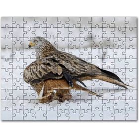 Cakapuzzle Jüpiter ve Uyduları Mdf 255 Parça Puzzle