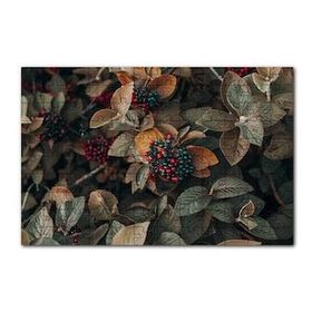 Cakapuzzle Kadife Yeşili Yapraklar ve Kırmızı ve Yeşil Meyveler 120 Parça Puzzle