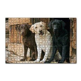 Cakapuzzle Kahve Krem ve Siyah Labradorlar 120 Parça Ahşap Puzzle