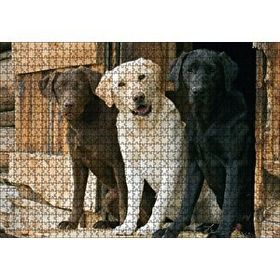 Cakapuzzle Kahve Krem ve Siyah Labradorlar 120 Parça Ahşap Puzzle