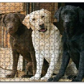 Cakapuzzle Kahve Krem ve Siyah Labradorlar Mdf 1000 Parça Puzzle
