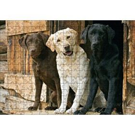 Cakapuzzle Kahve Krem ve Siyah Labradorlar Mdf 255 Parça Puzzle