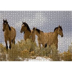 Cakapuzzle Kahve Rengi Atlar 1000 Parça Puzzle