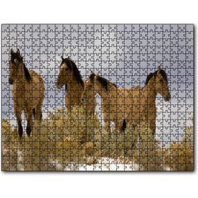 Cakapuzzle Kahve Rengi Atlar 500 Parça Puzzle