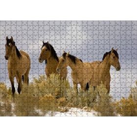 Cakapuzzle Kahve Rengi Atlar 500 Parça Puzzle