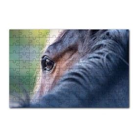 Cakapuzzle Kahverengi At Gözü Arkadan Yakın Çekim 120 Parça Ahşap Puzzle