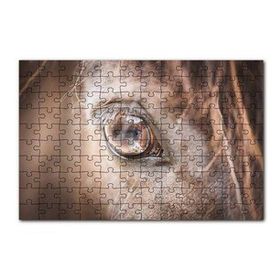 Cakapuzzle Kahverengi Atın Gözü Yakın Çekim 120 Parça Ahşap Puzzle