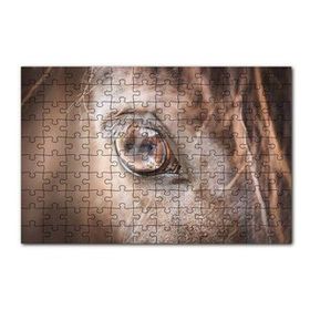 Cakapuzzle Kahverengi Atın Gözü Yakın Çekim 120 Parça Ahşap Puzzle