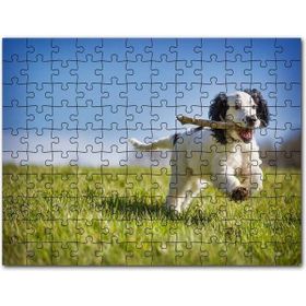 Cakapuzzle Kahverengi Beyaz Aşık Köpekler 500 Parça Puzzle