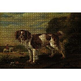 Cakapuzzle Kahverengi Beyaz Çoban Köpeği 255 Parça Puzzle