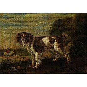 Cakapuzzle Kahverengi Beyaz Çoban Köpeği 255 Parça Puzzle