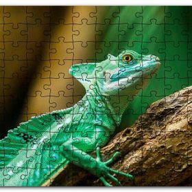 Cakapuzzle Kahverengi Dal Üzerinde Yeşil Kertenkele Yakın Mdf 500 Parça Puzzle