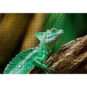 Cakapuzzle Kahverengi Dal Üzerinde Yeşil Kertenkele Yakın Mdf 500 Parça Puzzle