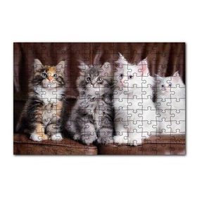 Cakapuzzle Kahverengi Deri Koltukta Sevimli 4 Kedi 120 Parça Ahşap Puzzle