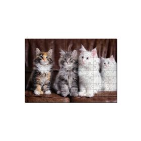 Cakapuzzle Kahverengi Deri Koltukta Sevimli 4 Kedi Mdf 120 Parça Puzzle