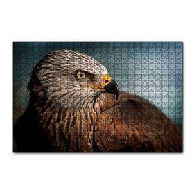 Cakapuzzle Kahverengi Doğan Kuşu 120 Parça Puzzle