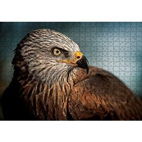Cakapuzzle Kahverengi Doğan Kuşu 120 Parça Puzzle