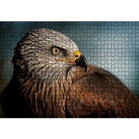 Cakapuzzle Kahverengi Doğan Kuşu 120 Parça Puzzle