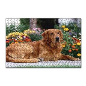Cakapuzzle Kahverengi Golden Rertriever ve Çiçekler 255 Parça Puzzle