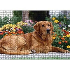 Cakapuzzle Kahverengi Golden Rertriever ve Çiçekler 255 Parça Puzzle