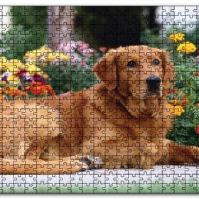 Cakapuzzle Kahverengi Golden Rertriever ve Çiçekler Mdf 120 Parça Puzzle