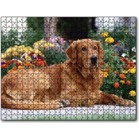 Cakapuzzle Kahverengi Golden Rertriever ve Çiçekler Mdf 120 Parça Puzzle