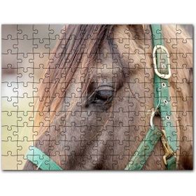 Cakapuzzle Kahverengi İnek Yakın Çekim Flu Arkaplan Mdf 500 Parça Puzzle