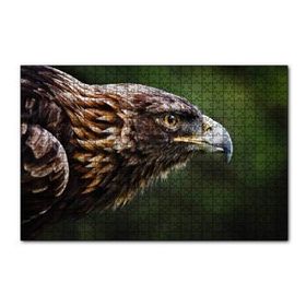 Cakapuzzle Kahverengi Kartal Keskin Bakışlar 255 Parça Puzzle