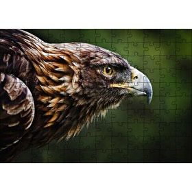 Cakapuzzle Kahverengi Kartal Keskin Bakışlar 255 Parça Puzzle