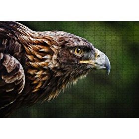 Cakapuzzle Kahverengi Kartal Keskin Bakışlar Mdf 500 Parça Puzzle