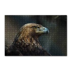 Cakapuzzle Kahverengi Kartal Mavi Gagalı 255 Parça Puzzle