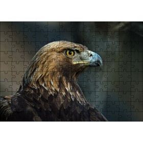 Cakapuzzle Kahverengi Kartal Mavi Gagalı 255 Parça Puzzle